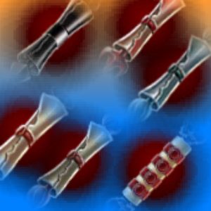 The_Scrolls